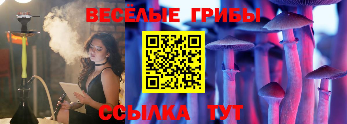 Галлюциногенные грибы Cubensis Нижнеудинск