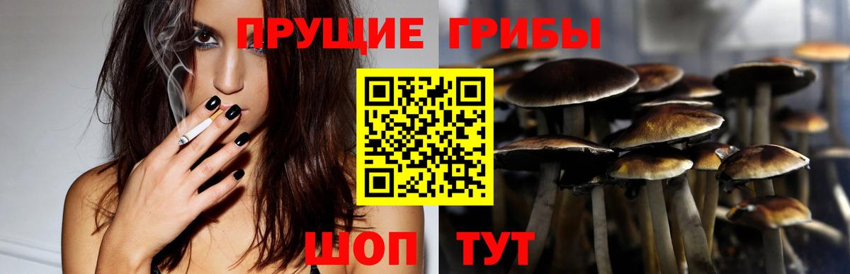 Псилоцибиновые грибы Cubensis  Вход с VPN  Нижнеудинск 