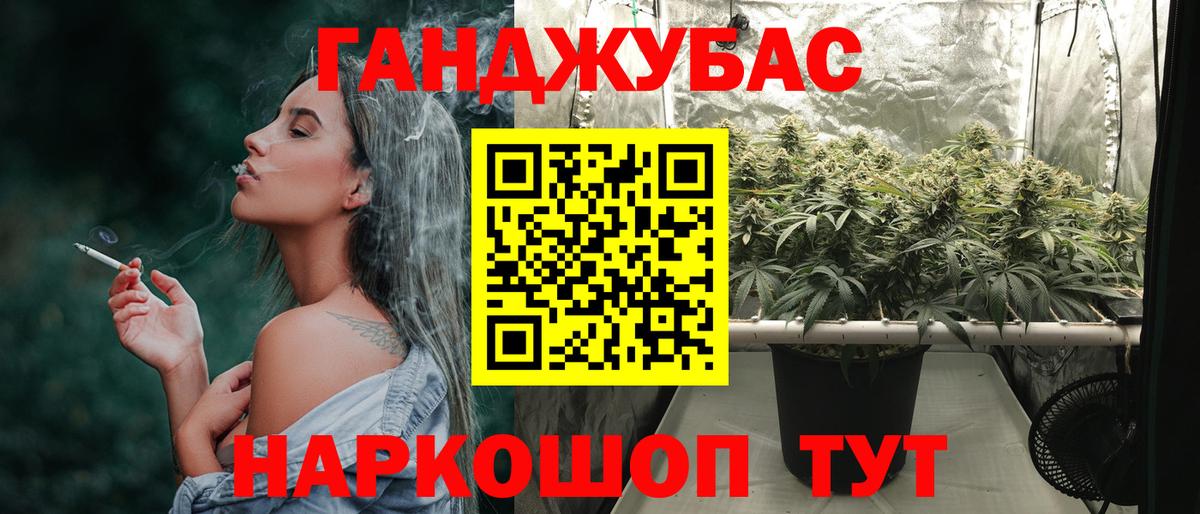 Шишки марихуана планчик Нижнеудинск